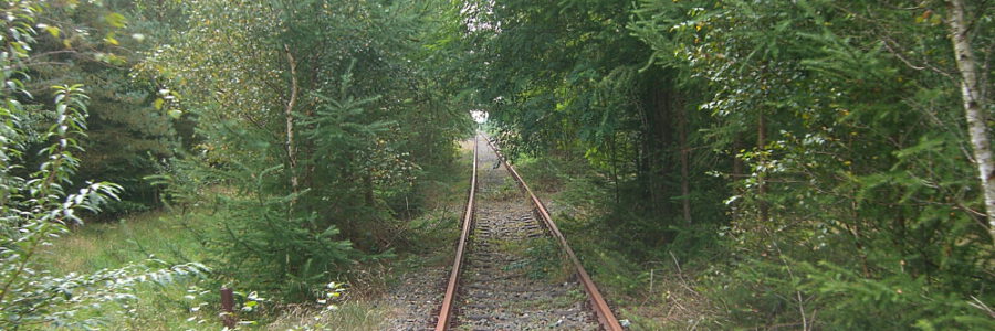 Bahnschienen. Foto: VCD Flensburg.