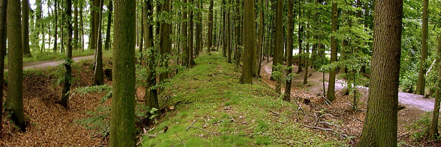 Landwehr Stehr. Foto: Hans-Helmut Bissem.