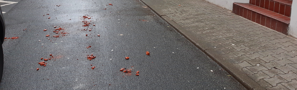 Heruntergefallene Ziegelsteine in der Lüner Straße. Foto: Lüne-Blog.