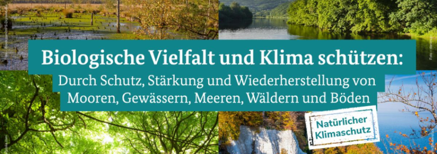 Grafik: (c)BMUV. Biologische Vielfalt und Klima schützen: Durch Schutz, Stärkung und Wiederherstellung von Mooren, Gewässern, Meeren, Wäldern und Böden.