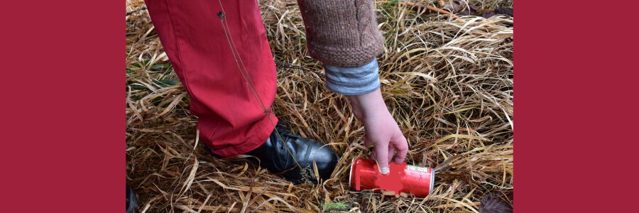 Litter Picking. Foto: Fotografbee, Pixabay.