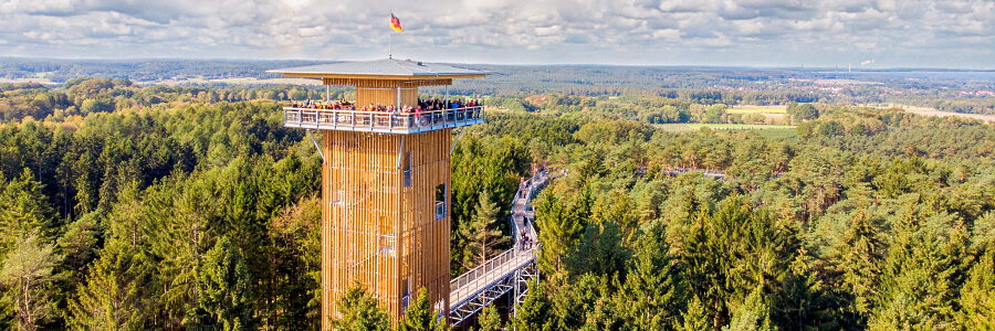 Baumwipfelpfad. Foto: Naturparkregion Lüneburger Heide e.V.
