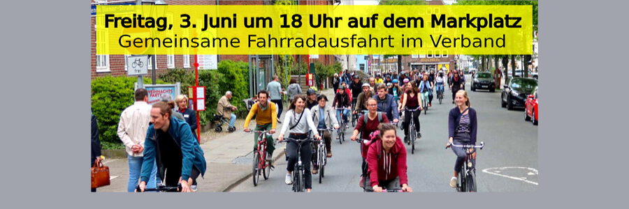 Critical Mass im Juni 2022. Foto: A. Völzke.