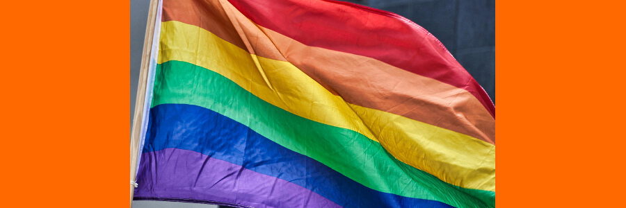 Regenbogenfahne. Foto: SatyaPrem, Pixabay.