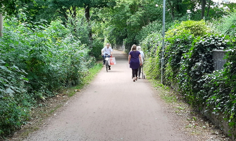 Der Radfahrer kommt entgegen, die Fußgängerinnen weichen aus. Wäre der Radfahrer von hinten gekommen, hätte er sie mit der Klingel aufmerksam machen müssen. Kommt das immer wieder vor, stört das den gemeinsamen Spaziergang. Die Radfahrenden fühlen sich genervt, wenn zu Fuß Gehende ständig im Weg sind und die Fahrt bremsen. Solche Wege schaffen Konflikte zwischen Fuß- und Radverkehr. Foto: FUSS e.V. Lüneburg.