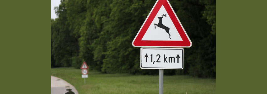 Warnschild Wildwechsel. Foto: Goran Horvat, Pisabay.