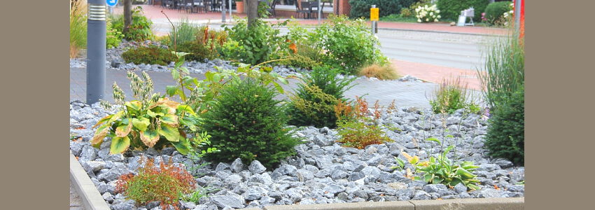 Schottergarten. Foto: Stadt Bleckede.