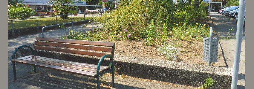 Thorner Platz. Foto: Hansestadt Lüneburg.