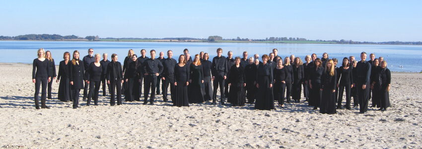 Der Bach-Chor Hamburg am Strand. Foto: Bach-Chor Hamburg.