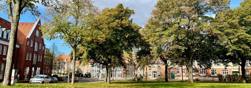 Lambertiplatz. Foto: Hansestadt Lüneburg.