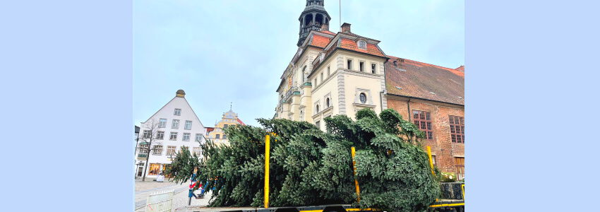 2021: Tanne wird aufgestellt. Archivfoto: Hansestadt Lüneburg.