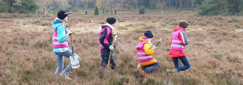 Naturparktag am 12.11.2022: Auf geht's zum Entkusseln! Foto: Naturpark.