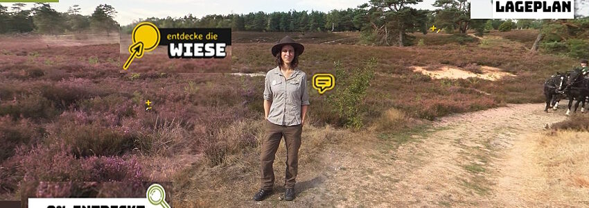 Naturpark Lüneburger Heide: Virtuell entdecken. Foto: NLH