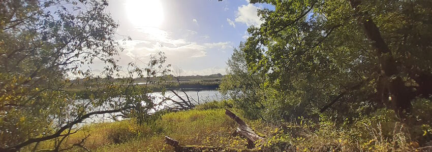 Foto: Lüne-Blog. Blick auf die Elbe.