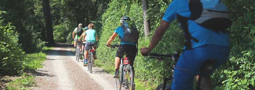 Radtour im Wald. Foto: Manfred Antranias Zimmer, Pixabay.