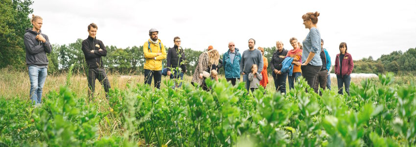 Gartenführung bei WirGarten - Zusammenhänge erklären. Foto: WirGarten eG Lüneburg.