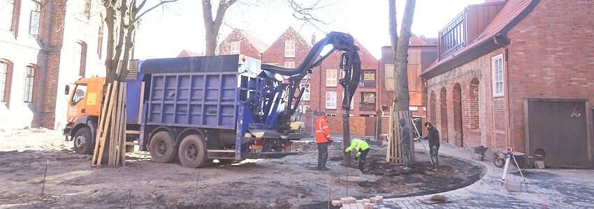 Baumschutz durch Saugbagger an der Heiligengeistschule Fotos: Hansestadt Lüneburg.