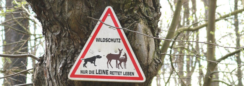 Leine rettet Leben. Foto: Christian Storb, Pixabay.