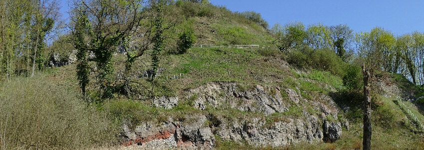 Naturschutzgebiet Kalkberg. Foto: Von Puusterke - Eigenes Werk, CC BY-SA 4.0, https://commons.wikimedia.org/w/index.php?curid=68923547