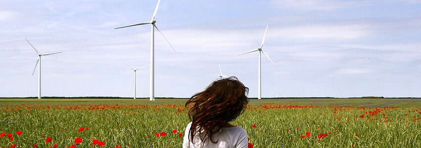 Windräder. Foto: TanTanika, Pixabay.