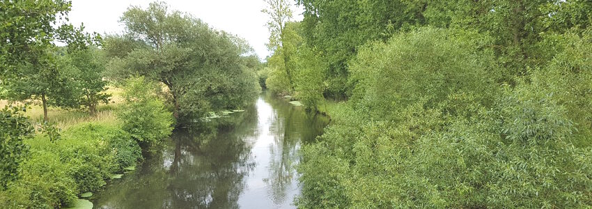 Ilmenau bei Bienenbüttel. Foto: Lüne-Blog.