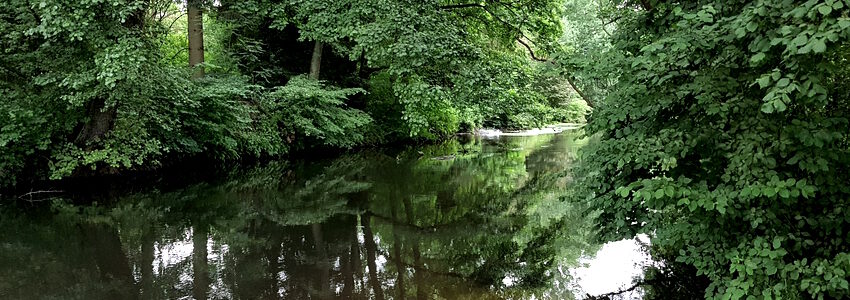 Ilmenau bei Bienenbüttel. Foto: Lüne-Blog.