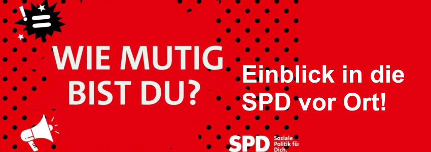 Grafik: SPD UB Lüneburg / Leon Billerbeck (angepasst)