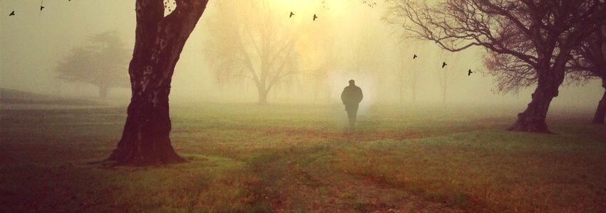 Herbstspaziergang. Foto: Mysticsartdesign, Pixabay.