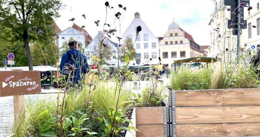 Grüne Oase vor dem Landgericht Lüneburg. Foto: Hansestadt Lüneburg.