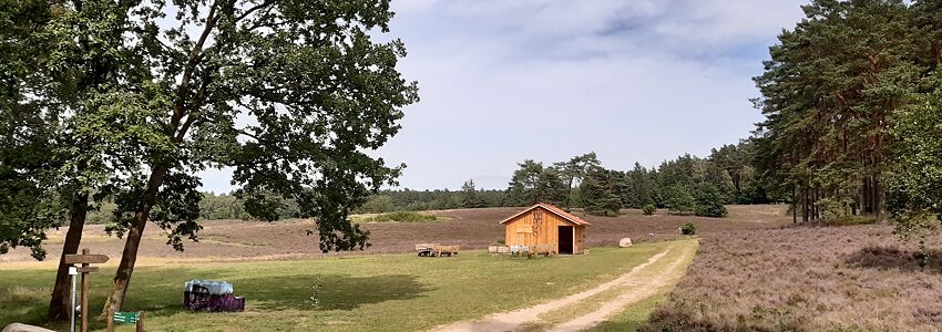 Rasthütte Kronsbergheide. Die Hütte steht am Rande der Kronsbergheide, unweit der B209 und dem Wanderparkplatz. Foto: Lüne-Blog.
