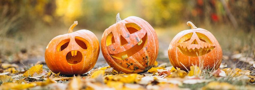 Halloween-Kürbisse. Foto: Mayur Gadge, Pixabay.
