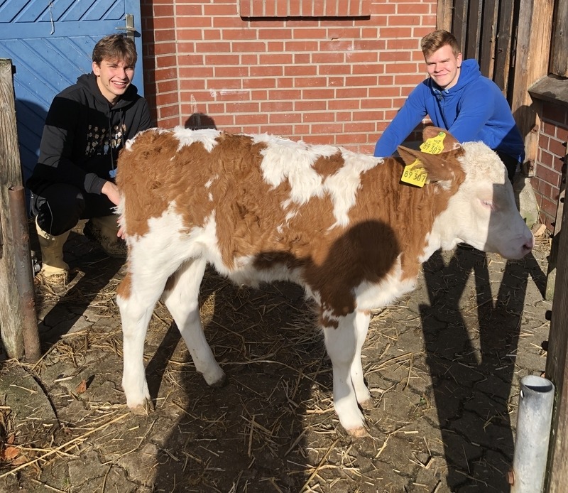 In der Landwirtschaft auf Hof Bockum: Zwei Azubis der Molkerei Hochwald. Foto: Ute Bruckart.