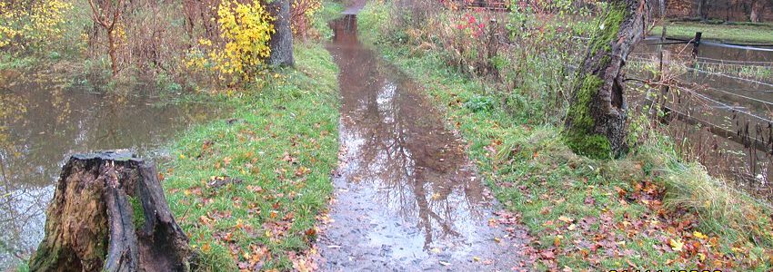 Hochwasser an der Ilmenau: Überschwemmter Fußweg. Foto: Hansestadt Lüneburg.