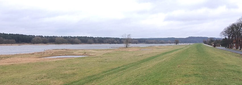 Hochwasserschutz an der Elbe. Foto: Michael Charles de Beaulieu.