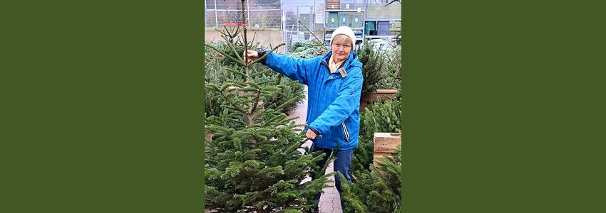 Weihnachtsbaum-Kauf. Foto: Elisabeth Bischoff, BUND Elbe-Heide.