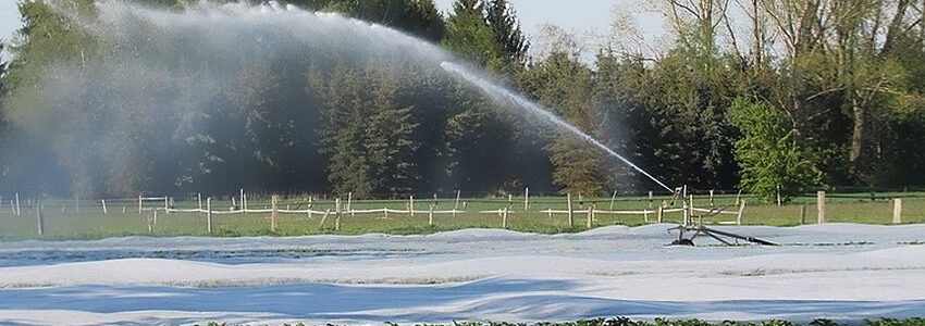 Foto: NLWKN. Bewässerung in der Landwirtschaft.