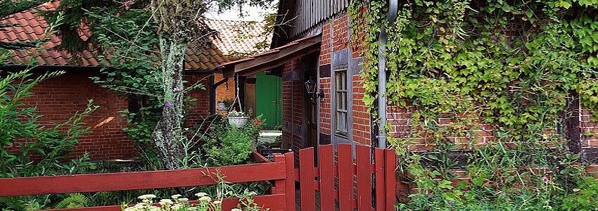 Haus mit verwildertem Garten. Foto: M.H., Pixabay.