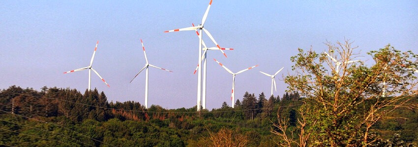 Windkraftanlage im Wald. Foto: Thomas G, Pixabay.