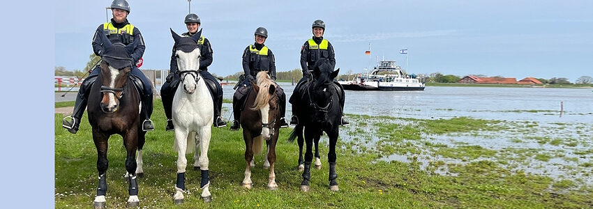 Polizeireiter:innen im Biosphärenreservat "Niedersächsische Elbtalaue", Foto: Polizeiinspektion Lüneburg/Lüchow-Dannenberg/Uelzen