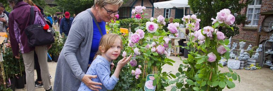 Rosenmarkt im Freilichtmuseum am Kiekeberg. Foto: Freilichtmuseum Kiekeberg.
