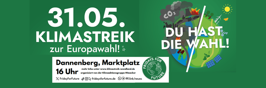 Klimastreik Wendland, 31. Mai 2024. Sharepic (angepasst).