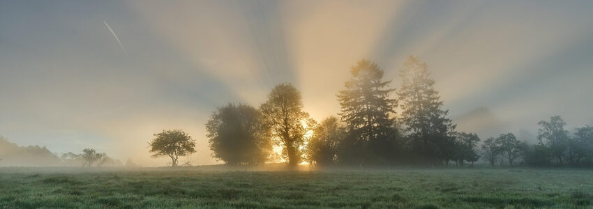 Morgensonne über einer Wiese. Foto: Marek Ropella, Pixabay.