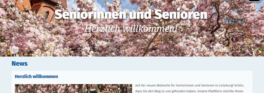 Grafik: Internetseite des Seniorenbeirats Lüneburg - Screenshot.