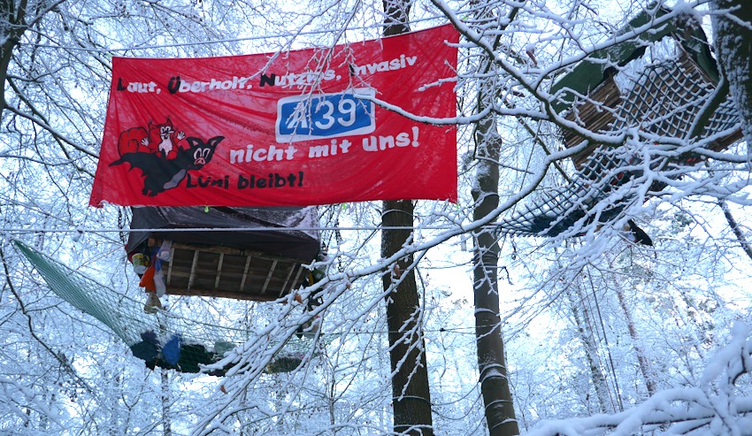 Foto: Flederhörnchen. Die beiden Baumhäuser im verschneiten Wald.