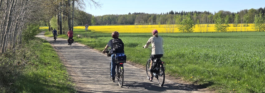 Foto: Lüne-Blog. Radtour bei Lüneburg.