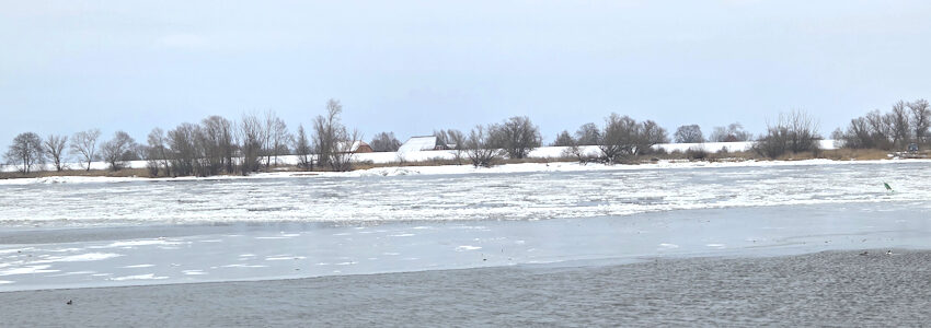 Foto: Lüne-Blog. Am Fähranleger in Bleckede, Anfang Februar 2026. Zügig schwimmen hier die Eisschollen auf der Elbe. Die Elbfähre „Amt Neuhaus“ zwischen Bleckede und Neu Bleckede setzt wegen Eisgangs bereits seit dem 8. Januar 2026 aus.